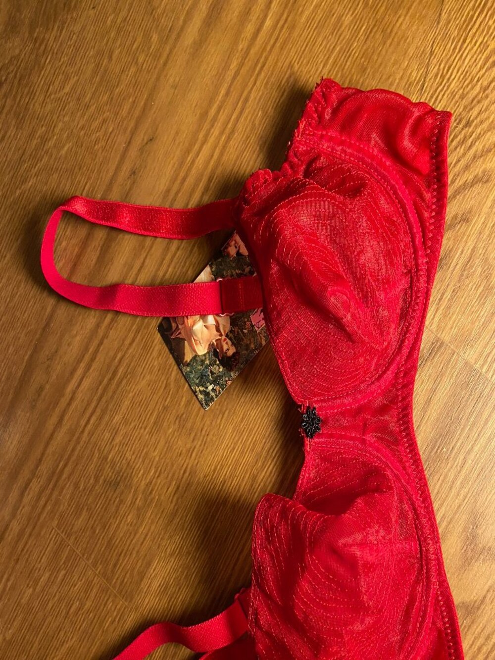 NWT What Katie Did red whirlpool bra